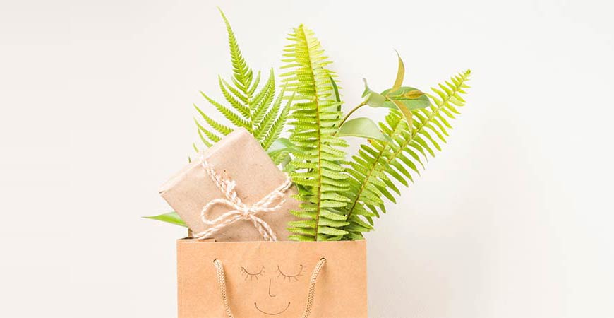 6 Eco-Friendly Corporate Gift Ideas for This Festive Season
