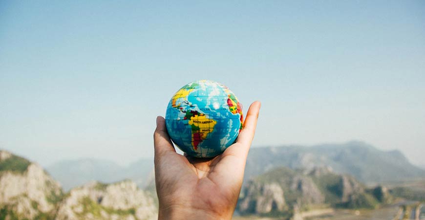 Pioneering Startups Shaping the Future of Sustainability